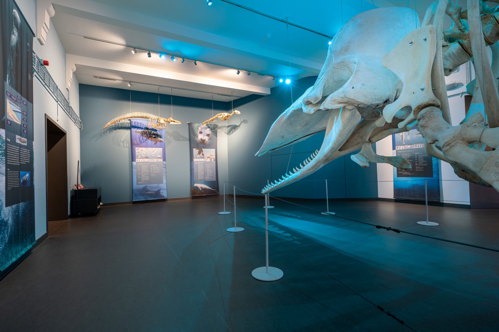 Esmeralda zou Natuurmuseum Brabant aanraden aan vrienden en familie.